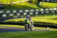 Evening Low_Mid Group Green Bikes